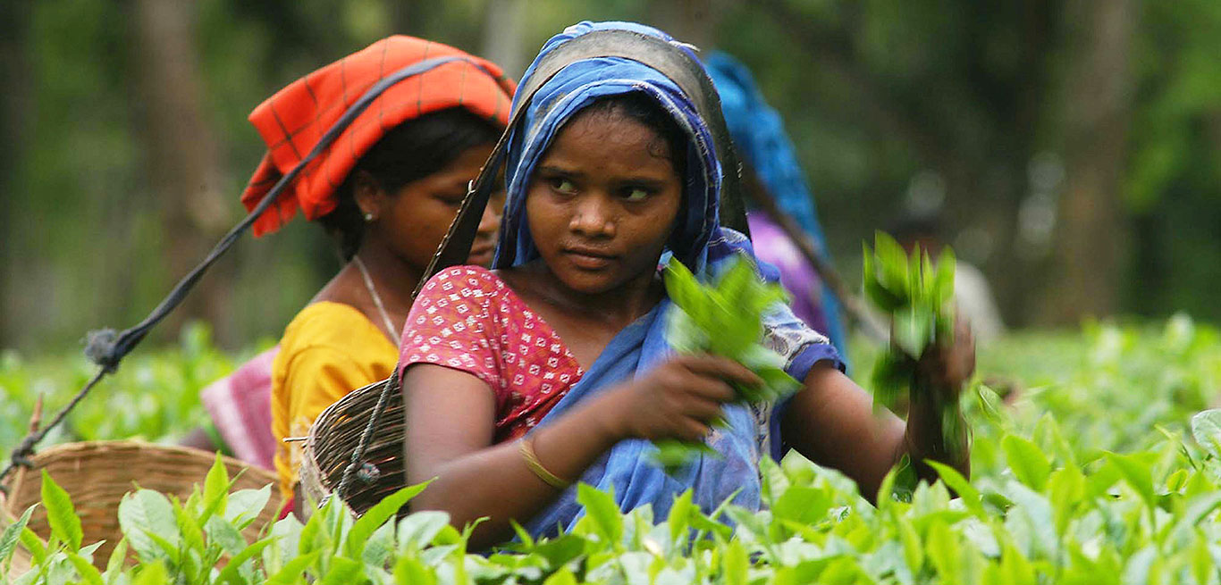 ICAAD - Structural Discrimination Affecting Women & Minorities